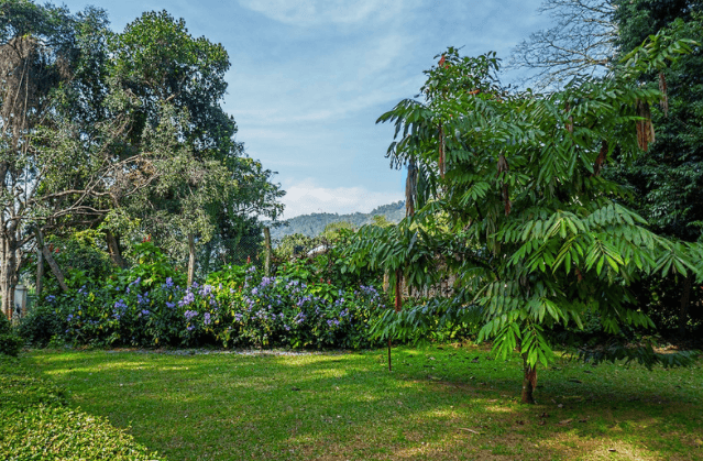 Peradeniya Royal Botanical Garden